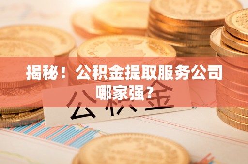 海港揭秘！公积金提取服务公司哪家强？