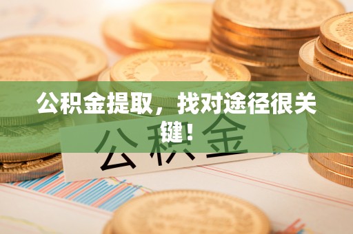 海港公积金提取，找对途径很关键！