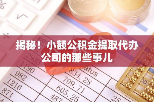 海港揭秘！小额公积金提取代办公司的那些事儿
