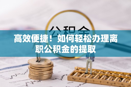海港高效便捷！如何轻松办理离职公积金的提取