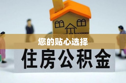 海港您的贴心选择