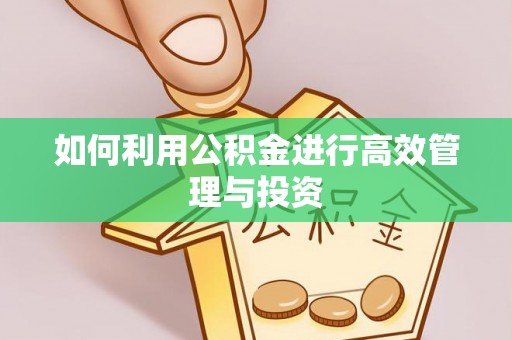 海港如何利用公积金进行高效管理与投资
